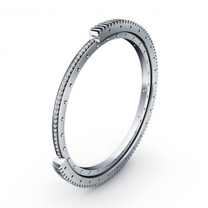 Slewing Rings